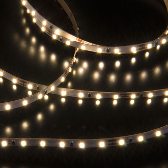 Лента светодиодная 24V 8W 120Led 2116 IP20 дневной белый, 5м 2116 24V 120Led 8W IP20 Elektrostandard