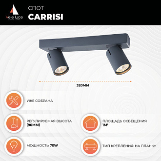 Спот 7*32*9 см, 2*GU10 серый Vele Luce Carrisi VL8067S02