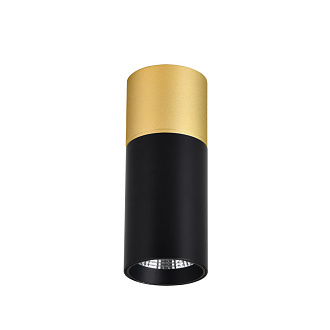 Светильник 5*5 см, LED 5W, 4000K Favourite Deepak 3074-1C, D50*H139, Светильник, каркас сочетает в себе два цвета - золото и черный