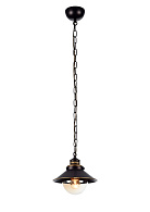 Подвесной светильник Arte Lamp GRAZIOSO A4577SP-1CK, черный