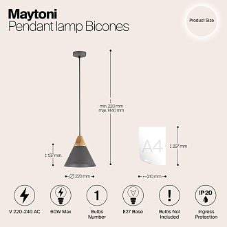 Подвесной светильник Maytoni Bicones P359-PL-220-C, диаметр 22 см, серый