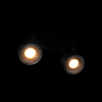 Накладной светильник 18,5*7,5*9 см, 2*LED*12W 4000K LOFT IT Focus 10323/2A Black черный
