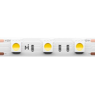 Светодиодная лента Base 12В 5050 14,4Вт/м 6000K 5м IP 20 201185 Maytoni Technical, цена за метр, катушкой по 5 м