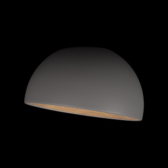 Потолочный светильник 35*22 см, 1*LED*24W 4000K серый LOFT IT Egg 10197/350 Grey