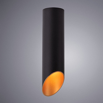 Потолочный светильник 6*22 см Arte Lamp Pilon-Gold A1535PL-1BK черный