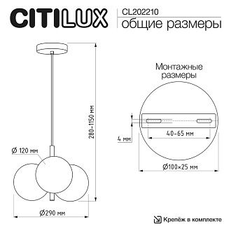 Светильник 29 см, Citilux ORTON CL202210, черный
