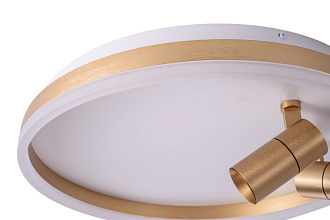 Накладной светильник 50*7 см, LED, 40W, 4000K Zortes Raizy ZRS.1888.02, белый