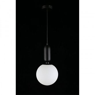 Подвесной светильник 20*50-150 см, 1*E27, 40W, Aployt Aniela APL.612.06.01, черный