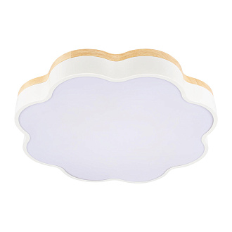 Потолочный светильник 50*7 см, 1*LED*36W 4000K белый LOFT IT Axel 10225/36 White