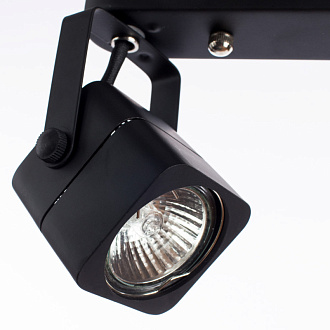 Спот Arte Lamp Lente A1314PL-2BK, черный