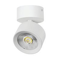 Светильник накладной *8,5*13,5 см, *15W, 4000K, Lightstar Alta Pro A5546SO, Белый