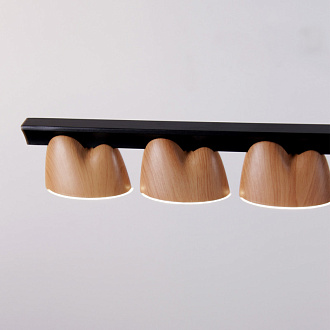 Подвесная люстра 135*7*161 см, 48W, Favourite Interline 4266-10P матовый черный, прозрачный акрил с узором, текстура дерева