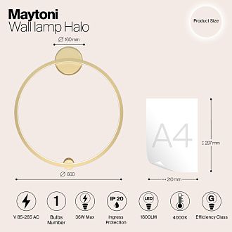 Бра 60 см, 36W, 4000K, Maytoni MOD005WL-L22BSK1, латунь