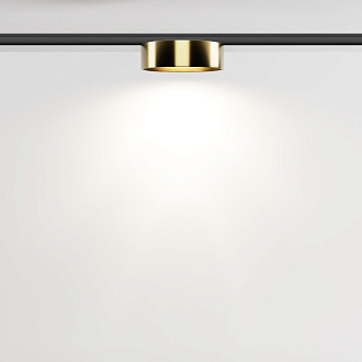 Трековый светильник 11,3*3,4 см, LED 12W 4000K Maytoni Technical Accessories for tracks Levity Zon TR189-1-12W4K-BBS черный и Латунь