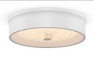 Потолочный светильник Freya Cells FR10011CL-L24W, 24W LED, 3000-6500K, диаметр 40 см, белый