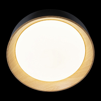 Светильник *45 см, 1*LED*36W, 4000К Loft It 10202 Black Coin, Черный