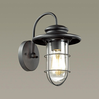 Уличный настенный светильник Odeon Light Helm 4171/1W черный