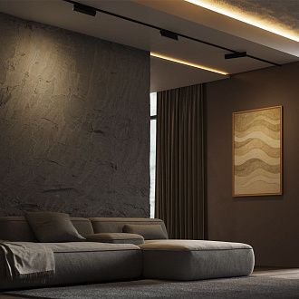Трековый светильник Points Rot Exility X 3000K 12Вт 40° 28*1*-6 см, *LED*12W, 1200K, Maytoni Technical  TR242-2-12W3K-B, Черный