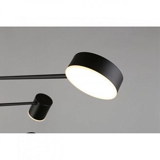 Люстра 100*70-100 см 48W, 4000K, Aployt FRANIA APL.017.07.48, черный