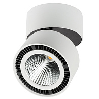 Светильник накладной 12,6 см, LED*40W, 4 000 К, Белый; Черный Lightstar Forte Muro 214850