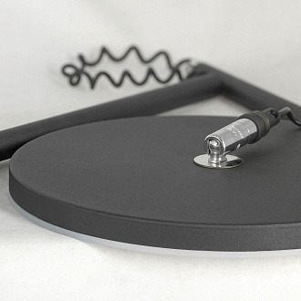 Торшер Lussole LSP-0901, 25*174 см, черный