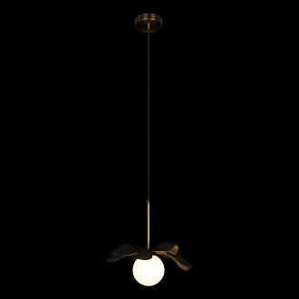 Подвесной светильник 27*34,5 см, 1*G9 Loft it Monro 10213/A Black
