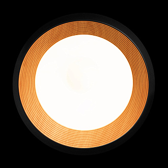 Потолочный светильник 50*12 см, 1*LED*30W 4000K LOFT IT Folk 10255/500 Black черный