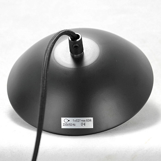Подвесной светильник Lussole Beijing GRLSP-8131, 25*35 см, черный