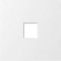 Donel S08 матовый белый накладка 1-я для розеток RJ45,TV,SAT,HDMI , серия DB, DS85933