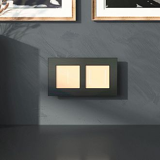 W0023508 Рамка на 2 поста  AluMax, черный алюминий Werkel, 4690389204043