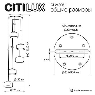 Светильник 32 см, Citilux ESPACE CL243051, черный