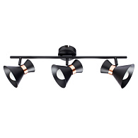 Спот Arte Lamp Baltimore A1406PL-3BK, черный/золотой