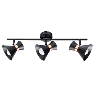 Спот Arte Lamp Baltimore A1406PL-3BK, черный/золотой