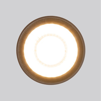 Накладной светодиодный влагозащищенный светильник IP54 35132/H черный Elektrostandard