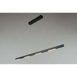 Линейный светильник 120*5*40-130 см Aployt Noella APL.051.03.28,