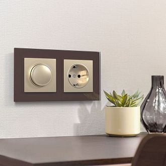 Розетка с заземлением и шторками (шампань) W1171111 Werkel 4690389157387