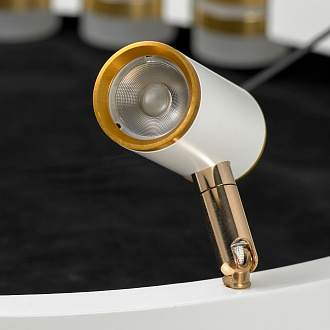 Люстра подвесная 60*35 см, 14*LED*3W  Lussole Gilbert LSP-7176 белый