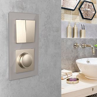 W0021117 Рамка на 2 поста Favorit, дымчатый,стекло Werkel, 4690389159695