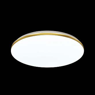Cветильник 49*8,5 см, LED 72W, 3000-4200-6500 К, IP43, белый/золотистый, пластик Sonex Lassa, 3043/EL