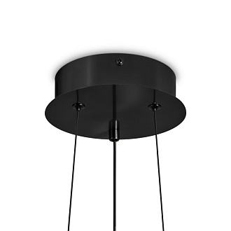 Подвесной светильник 40 см, 10W, 3000K, Freya Citrus FR5398PL-L8B, черный