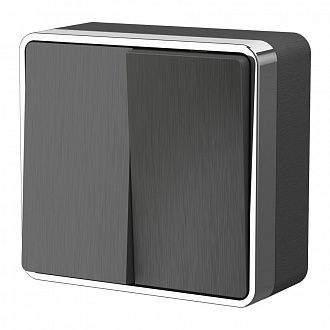 W5020004 Выключатель двухклавишный Gallant, графит рифленый Werkel, 4690389164132