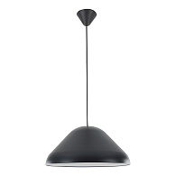 Подвесной светильник 44*35/170 см, 1*E27*13W Lussole Jenkins LSP-7321 черный