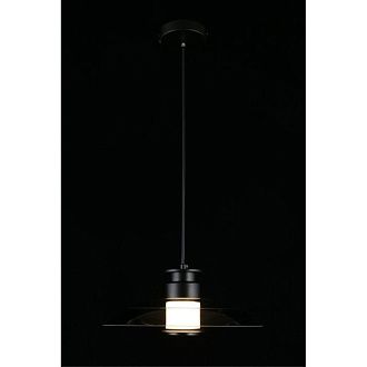 Подвесной светильник 30*40-200 см, 1*LED, 10W, 4000K, Aployt Stefa APL.648.06.10, черный