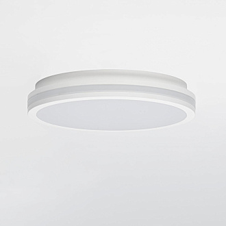 Светильник 29 см, 24W, 3000-4000-6500K Citilux CL711020V LUNS 24W IP64