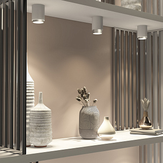 Накладной светодиодный светильник Cors 25032/LED 10W 4200K белый/серебро Elektrostandard