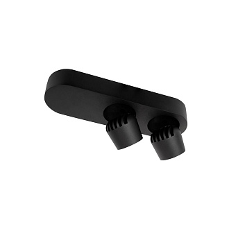 Накладной светильник 25*7,5*7 см, 2*LED*7W 4000K LOFT IT Quiet 10320/2 Black черный