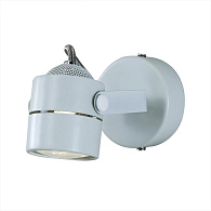 Спот Citilux CL525510 Белый