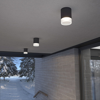 Накладной светодиодный влагозащищенный светильник IP54 35140/H черный Elektrostandard