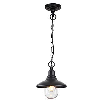 Уличный подвесной светильник Odeon Light Campa 4965/1, черный