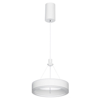 Подвесной светильник 20*30/125 см, 20W 4000K Citilux CL719010 Дуэт Белый С